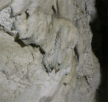 When the Sinkhole Collapsed, Flowstone Ceased to Grow and Popcorn Formed on Top (Souce: Oregon Caves Image Library)