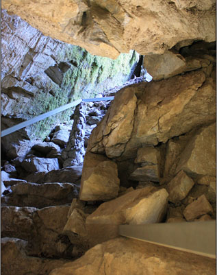 The 110 Exit Has Rubble Near the Stairs and Lichens Growing on the Wall (Source: Heather Neis)