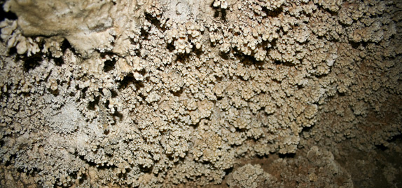 Acidic Dew in Watson's Grotto (Source: Oregon Caves Image Library)