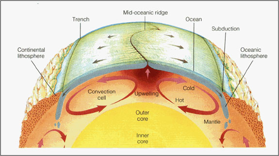 Convection Currents Stir the Mantle like a Pot of Boiling Water, and the Tectonic Plates Float on Top (Source: asjohnson, Environmental Basics, “The Mantle 101.” http://asjohnson.wordpress.com/page/2/ )