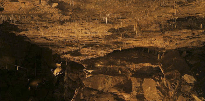 White Formations on the Ghost Room Ceiling (Source: Oregon Caves Image Library)