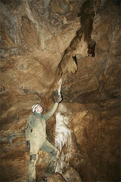 A Worker Pointing to the Igneous Intrusion in the Marble. Note the White Formations on the Right Side of the Intrusion (Source: Oregon Caves Image Library)