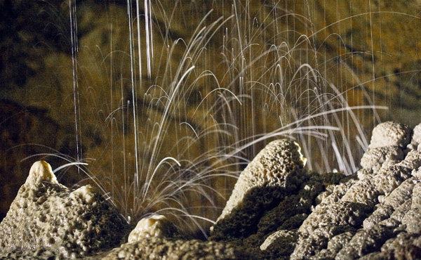 Erosion Evident in the Stalagmites around the Spitting Stone (Source: Oregon Caves Image Library)