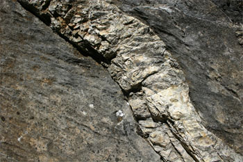 This Chert Layer Projects from a Marble Wall (Source: Oregon Caves Image Library)