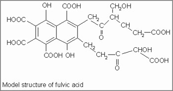 Chemical Structure of Fulvic Acid (Source: http://www.humet.com/acatalog/Image104.gif) 