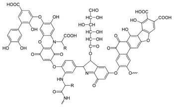 Chemical Structure of Humic Acid (Source: http://en.wikipedia.org/wiki/File:Humic_acid.svg)