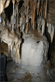 Soda Straws Hanging Down from the Ceiling (Source: Oregon Caves Image Library)