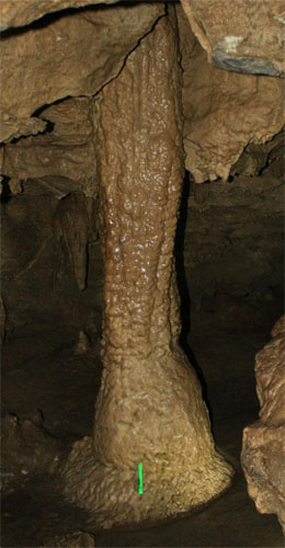 The Grand Column is One of the Largest Columns in the Oregon Caves; Note the Green Marker Included for Size Comparison (Source: Oregon Caves Image Library)