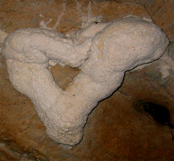 Rootcicle Covered With Moonmilk in the Imagination Room (Source: Oregon Caves Image Library)