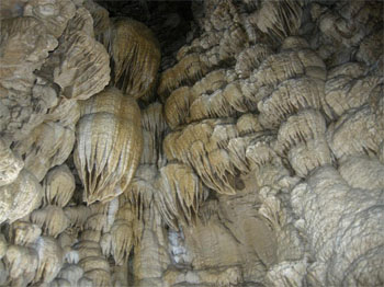 Drapery and Flowstone Cascade Down the Walls of Paradise Lost (Source: Oregon Caves Image Library)