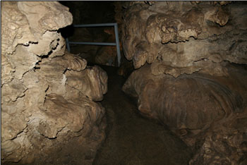 Flowstone crowds the trail through Petrified Gardens (Source: Oregon Caves Image Library)